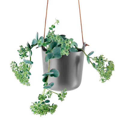 Eva Solo Planters