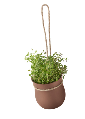 Other flowerpots
