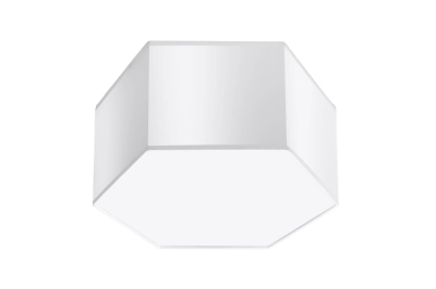 Ceiling flush mounts