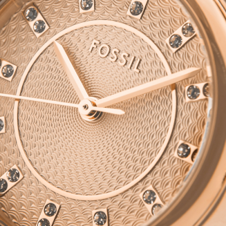 Zegarek Damski FOSSIL Modern Sophisticate BQ1571 + BOX - 4