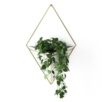 Doniczka ścienna Umbra Trigg White-Brass Large - 2