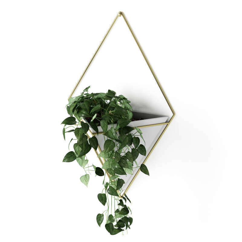 Doniczka ścienna Umbra Trigg White-Brass Large | SZYBKA WYSYŁKA 24H