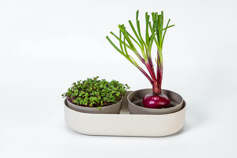 PLASTIA MICROGREENS Kiełkownica + pojemnik 30.5x16 cm beżowy