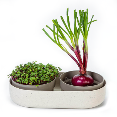 Kiełkownica Urbalive Microgreens + pojemnik beżowy 30x16 cm