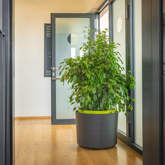 Duża donica samo-nawadniająca okrągła Urbalive Berberis cynamonowy 55 cm - 5