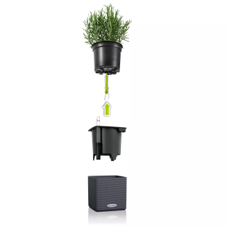  Lechuza Cube Color Home Kit wall flowerpot, gray - 3