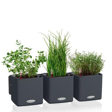 Donica ścienna Lechuza Green Wall Home Kit Color szary