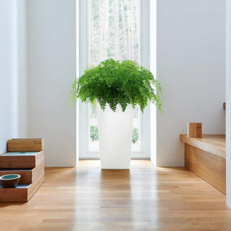  Lechuza Cubico Premium 22 flowerpot | 30 | 40 | 50 white gloss - 9