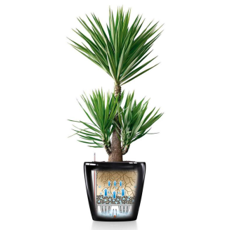 Lechuza Classico Premium 60 flowerpot | 70 white gloss - 3