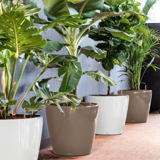 Lechuza Classico Premium 60 flowerpot | 70 white gloss - 7
