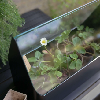  Eva Solo Simply Grow Mini Greenhouse Greenhouse Planter - 4