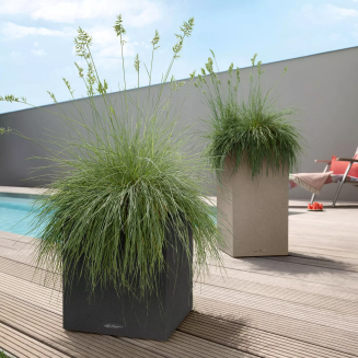  Lechuza Canto Stone flowerpot 30 cubes, graphite black - 10