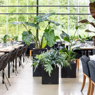 Donica Lechuza Canto Stone 30 kostka grafitowy czarny - 11