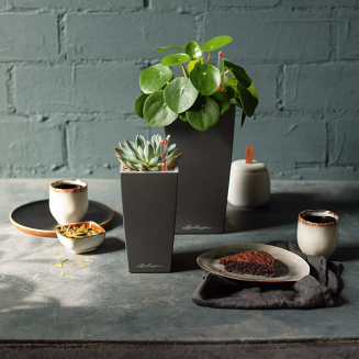  Lechuza Mini Cubi flowerpot | Maxi Cubi anthracite metallic - 7