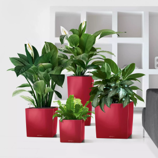 Donica Lechuza Cube Premium 30 | 40 | 50 czerwony połysk - 9