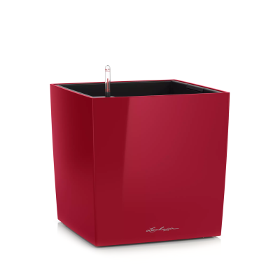  Lechuza Cube Premium 30 flowerpot | 40 | 50 red gloss