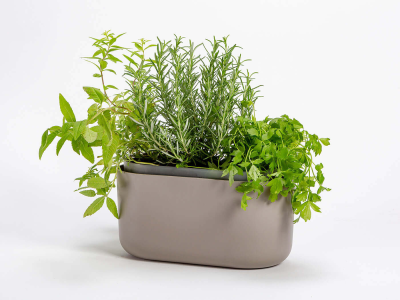 PLASTIA TOLITA Donica samonawadniająca prostokątna 31x16 cm jasnoszary