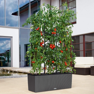  Climber trellis for Lechuza Trio 30 pots | 40 - 4