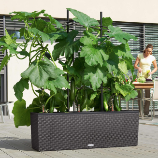 Climber trellis for Lechuza Trio 30 pots | 40 - 5
