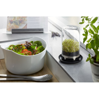 Szklany pojemnik do szklarni do kiełków Gefu BIVITA - 2