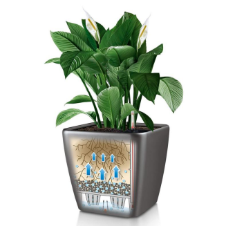 Donica Lechuza Quadro Premium LS 21 | 28 | 35 | 43 | 50 czerwony połysk - 4