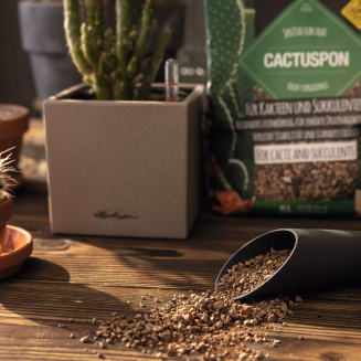 Substrat Lechuza Cactuspon 6l - 2