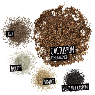 Lechuza Cactuspon substrate 6l - 3