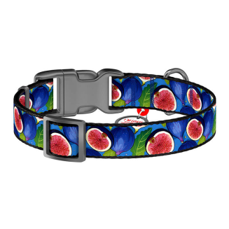 Obroża nylonowa z kodem QR dla psa Waudog 