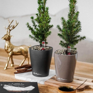  Lechuza Mini Deltini flowerpot taupe glossy - 6