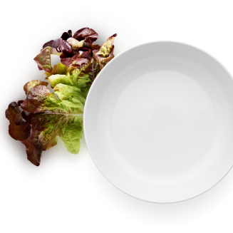  Miska Eva Solo Legio Nova 3.3 l - 3