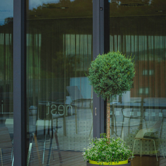 Duża donica samo-nawadniająca okrągła Urbalive Berberis szaro-brązowy 55 cm - 6