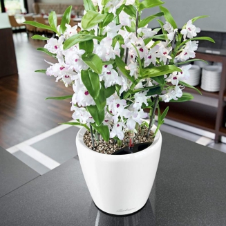  Lechuza Classico Premium LS 21 flowerpot | 28 | 35 | 43 | 50 white gloss - 9