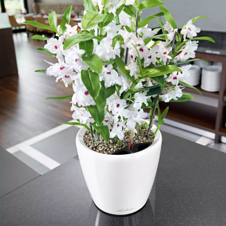  Lechuza Classico Premium LS 21 flowerpot | 28 | 35 | 43 | 50 white gloss - 8