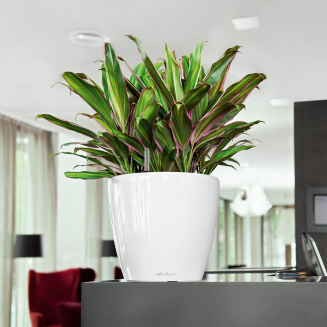  Lechuza Classico Premium LS 21 flowerpot | 28 | 35 | 43 | 50 white gloss - 10