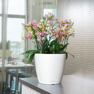  Lechuza Classico Premium LS 21 flowerpot | 28 | 35 | 43 | 50 white gloss - 9
