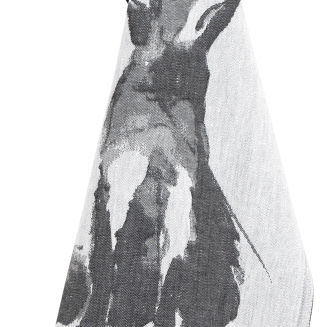 Ściereczka Lapuan Kankurit KETTU 46x70 cm - 2