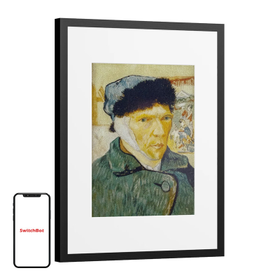 Ramka cyfrowa SwitchBot AI Art Frame 13,3"