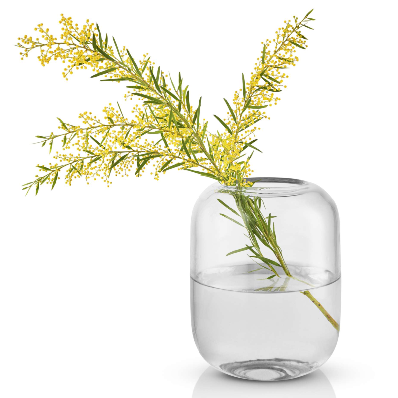 Wazon Eva Solo Acorn Clear 16 cm