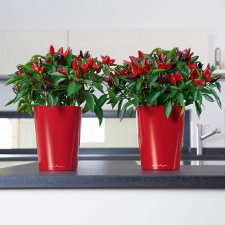  Lechuza Deltini planter, red gloss - 5