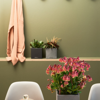 Doniczka Lechuza Canto Stone 14 kostka biały kwarcowy - 5