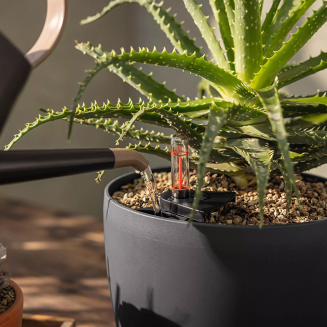 Substrat Lechuza Basicpon 20l - 4