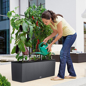  Lechuza Trio Cottage 30 planter | 40 granite - 11