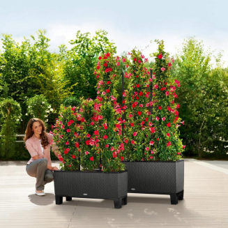  Lechuza Trio Cottage 30 planter | 40 granite - 12