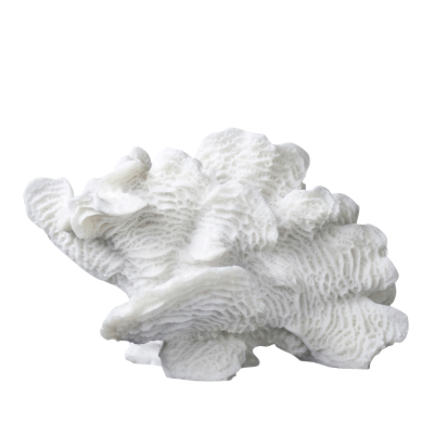 Dekoracja Mette Ditmer Coral Fan Large