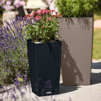  Lechuza Cubico Cottage 30 planter | 40 mocha - 8