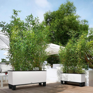 Donica Lechuza Trio Cottage 30 | 40 mokka - 8