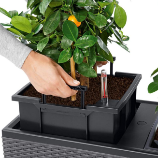 Donica Lechuza Trio Cottage 30 | 40 mokka - 4