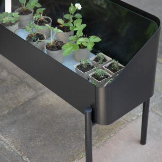  Eva Solo Simply Grow Spire Mini Greenhouse Planter - 9