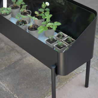 Donica z mini szklarnią Eva Solo Simply Grow Spire | SPRING PROMO 2026 - 9