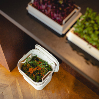 PLASTIA Kosz na bioodpady z wkładem 6 ltr kremowy - 6